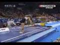 Leszek Blanik Vault Final 2007 Worlds