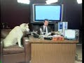re-chocolate-rain-original-song-by-tay-zonday.html