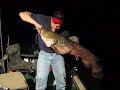 45 lb Minnesota River Flathead 45 lb Minnesota River Flathead