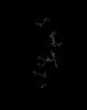 Molecular Dynamics of the IF1 (ATPase inhibitor protein)