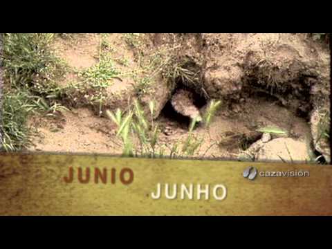 Promo Junio 2013 Promo Junio 2013
