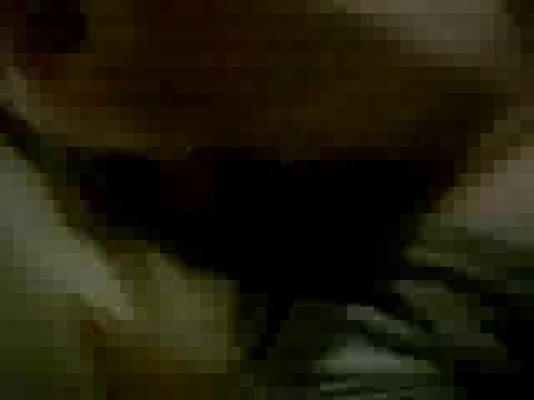 jepordy