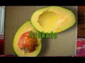 Dubska - Avokado