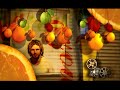 Dubska - Avokado