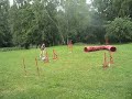 Beautinka na tréninku agility