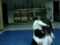 videos de AIKIDO - Celebrating our Friendship