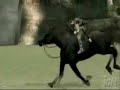 Colossi My