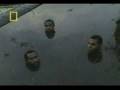 videos de El contraste del Sello