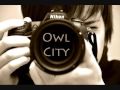 Owl City- Fireflies (lyrics in description)
