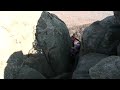 Adventure Racing Training - Primal Quest - Enduring Freedom