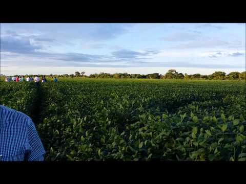 Agrodistribuidor na Estrada - Província de Santa Cruz - Bolívia