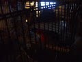 Eastern Rosella Batman moves into his new cage.