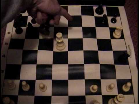 chess knight chess knight
