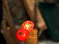 TAMESHIGIRI~Tomato~