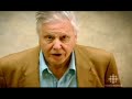 Sir David Attenborough: The Truth About Climate Change