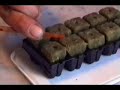 hash weed ganja drugs How To 3 of 4 hash weed ganja drugs How To 3 of 4
