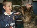 www.germanshepherdsuk.co.uk