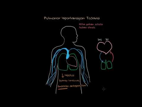 Khan Academy - Pulmoner Hipertansiyon Tedavisi (Fen Bilimleri) (Sağlık ve Tıp) - 2020.07.03