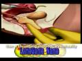 G-SPOT - How to Locate and Stimulate the GSpot thanks www.LameGame.Name G-SPOT - How to Locate and Stimulate the GSpot thanks www.LameGame.Name
