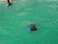 videos de palawan 4th yr. tourism moment