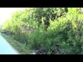 Rosewood Mayakoba - From Beach to Lagoons