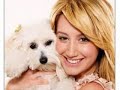 ashley tisdale- don't touch (the zoom song)

(zoom, zoom, zoom, zoom, zoom, zoom, zoom)

zoom, zoom in under my skin
gotta slow down now to begin
baby, don't rush, you can look, but don't touch

you think u know
when u see me in my videos
how the story goes
but that's just the side that i expose

look through the lens
you see my body, not who i am
so, don't pretend
and try to act like your my boyfriend

u wanna get somewhere (somewhere)
then boy, don't touch me there (touch me there)
just get up close and personal, personal

zoom, zoom in under my skin
gotta slow down now to begin
baby, don't rush, you can look, but don't touch

zoom, zoom
in...to my head
gotta know me to be my man
boy, prove your love
you can look, but don't touch

(don't touch)
(zoom, zoom, zoom, zoom)

you won't behave
you're getting all up in my space
barely know your name, you're tryin' to score
but it's not a game

boy, get a clue, yeah
u gotta spend the time
pay your dues following the rules
if u want me to want to be with u

u wanna get somewhere (somewhere)
then boy, don't touch me there (touch me there)
just get up close and personal, personal

zoom, zoom in under my skin
gotta slow down now to begin
baby, don't rush, you can look, but don't touch

zoom, zoom
in...to my head
gotta know me to be my man
boy, prove your love
you can look, but don't touch (don't touch)

zoom, zoom in under my skin (no, no)
gotta slow down now to begin
baby, don't rush, you can look, but don't touch (touch)

zoom, zoom
in...to my head
gotta know me to be my man
boy, prove your love
you can look, but don't touch (don't touch)

don't you dare
touch me there
(zoom, zoom, zoom, zoom, zoom, zoom, zoom)
if you want to get somewhere
(zoom, zoom, zoom, zoom, zoom, zoom, zoom)

zoom in, get to know me, boy

don't rush
baby, don't rush, you can look, but don't touch

zoom, zoom in into my head (zoom in if you want me, boy)
gotta know me to be my man (don't touch)
boy, prove your love
you can look, but don't touch (don't touch)

zoom, zoom in under my skin (no, no)
gotta slow down now to begin
baby, don't rush, you can look, but don't touch

zoom, zoom in into my head
gotta know me to be my man (oh, oh)
boy, prove your love
you can look, but don't touch (no, no) (don't touch)

(zoom, zoom, zoom, zoom, zoom, zoom, zoom)
(zoom, zoom, zoom, zoom, zoom, zoom, zoom)

lyrics from miss tisdale.net