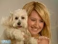 ashley tisdale- don't touch (the zoom song)

(zoom, zoom, zoom, zoom, zoom, zoom, zoom)

zoom, zoom in under my skin
gotta slow down now to begin
baby, don't rush, you can look, but don't touch

you think u know
when u see me in my videos
how the story goes
but that's just the side that i expose

look through the lens
you see my body, not who i am
so, don't pretend
and try to act like your my boyfriend

u wanna get somewhere (somewhere)
then boy, don't touch me there (touch me there)
just get up close and personal, personal

zoom, zoom in under my skin
gotta slow down now to begin
baby, don't rush, you can look, but don't touch

zoom, zoom
in...to my head
gotta know me to be my man
boy, prove your love
you can look, but don't touch

(don't touch)
(zoom, zoom, zoom, zoom)

you won't behave
you're getting all up in my space
barely know your name, you're tryin' to score
but it's not a game

boy, get a clue, yeah
u gotta spend the time
pay your dues following the rules
if u want me to want to be with u

u wanna get somewhere (somewhere)
then boy, don't touch me there (touch me there)
just get up close and personal, personal

zoom, zoom in under my skin
gotta slow down now to begin
baby, don't rush, you can look, but don't touch

zoom, zoom
in...to my head
gotta know me to be my man
boy, prove your love
you can look, but don't touch (don't touch)

zoom, zoom in under my skin (no, no)
gotta slow down now to begin
baby, don't rush, you can look, but don't touch (touch)

zoom, zoom
in...to my head
gotta know me to be my man
boy, prove your love
you can look, but don't touch (don't touch)

don't you dare
touch me there
(zoom, zoom, zoom, zoom, zoom, zoom, zoom)
if you want to get somewhere
(zoom, zoom, zoom, zoom, zoom, zoom, zoom)

zoom in, get to know me, boy

don't rush
baby, don't rush, you can look, but don't touch

zoom, zoom in into my head (zoom in if you want me, boy)
gotta know me to be my man (don't touch)
boy, prove your love
you can look, but don't touch (don't touch)

zoom, zoom in under my skin (no, no)
gotta slow down now to begin
baby, don't rush, you can look, but don't touch

zoom, zoom in into my head
gotta know me to be my man (oh, oh)
boy, prove your love
you can look, but don't touch (no, no) (don't touch)

(zoom, zoom, zoom, zoom, zoom, zoom, zoom)
(zoom, zoom, zoom, zoom, zoom, zoom, zoom)

lyrics from miss tisdale.net