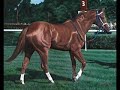 Secretariat: Super Horse