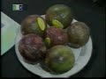 Tanzanian Prime Minister Launch East African Organic Standar Tanzanian Prime Minister Launch East African Organic Standar
