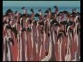 Les Ailes Pourpres - Super-trailer