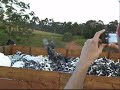 Rubens BACKFLIP!