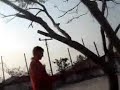 Virados em Turvo Virados em Turvo