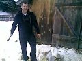 Vasile, aparat de taiat lemne!!! Fenomenal