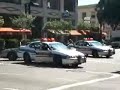 POLICIA BABACA POLICIA BABACA