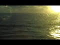 Cruise Ship - Dolphins!