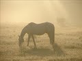 Ommen