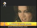 ville valo   natalie avelon   summer wine
