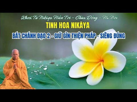 Tinh Hoa NIKAYA- Bát Chánh Đạo 2 - Giữ Gìn Thiện Pháp - Siêng Đúng