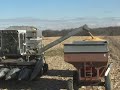 John dumping corn.MOV