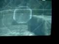 Gears of War- Sniper, Shotgun, Torque, and Chainsaw