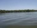 videos de Kayaking with Dolphins on Tarpon Bay