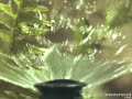 Close up of a sprinkler spray in slow motion