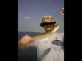 Topsail Fishin