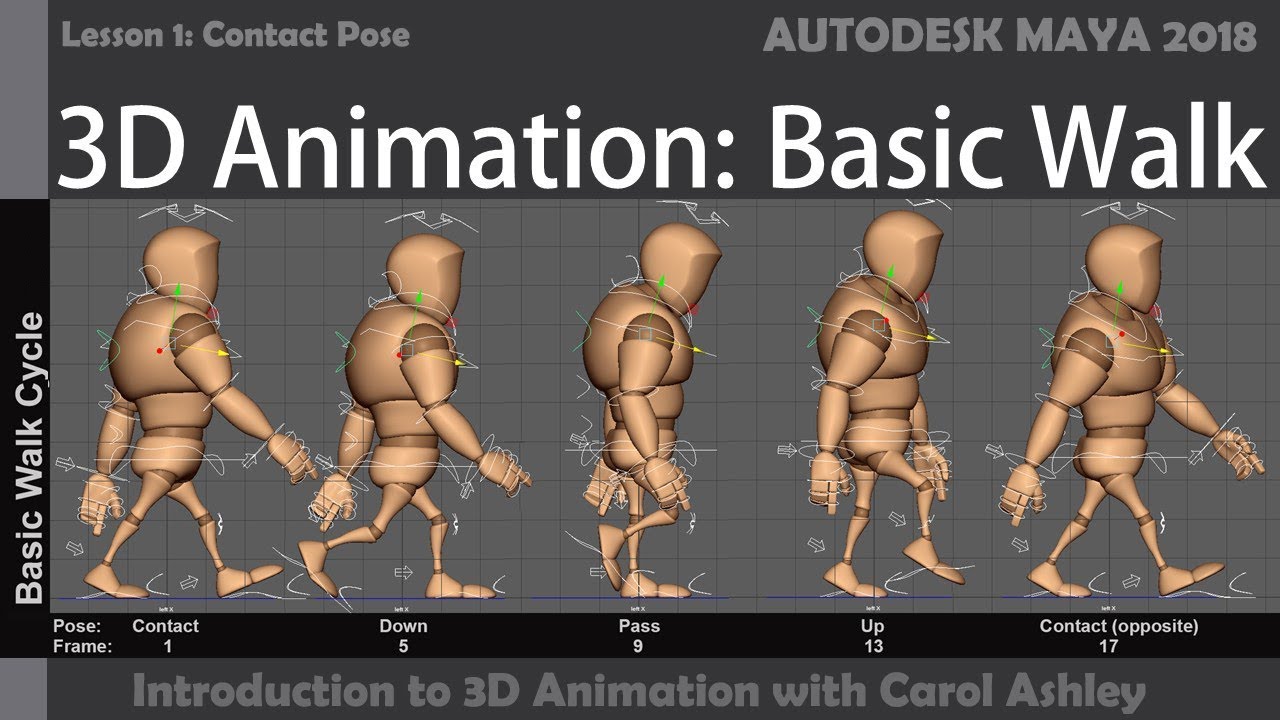 3d basic walk cycle animation tutorial 

contact pose