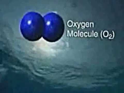 how to care for a ozone pool