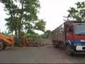 Loading Oil-palm Fresh Fruits Bunches