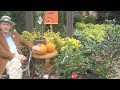 Fall Favorites from the Monrovia Boutique