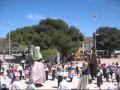 Ver Video