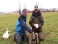 Chub fishing - Part 1