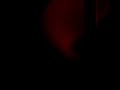 ANGELSPIT - SCARS AND STRIPES